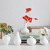 Tenforie White Ceramic Bud Vase Set of 5, Mini Vases for Flowers, Decorative Small Vases for Home Decor, Boho Wedding Centerpieces, Living Room, Dining Table & Shelf Decor