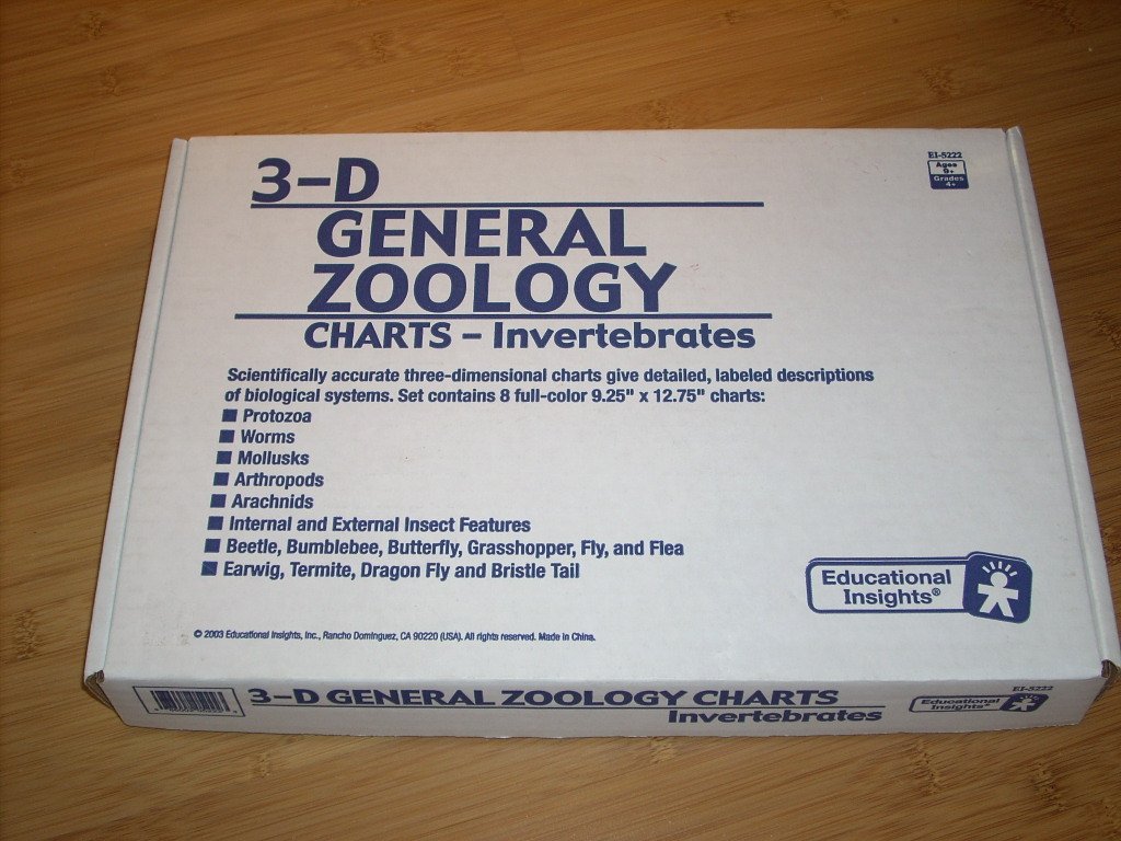 3 D Zoology Charts 9 25 X 12 75 Grades 4 Ages 9 Invertebrates Protozoa Worms Mollusks Arthropods Arachnids Beetle Bumblebee Butterfly Grasshopper Fly And Flea Earwig Termite Dragon Fly And Bristle Tail Educational