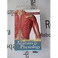Pocket Anatomy and Physiology