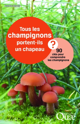 Tous les champignons portent-ils un chapeau ?