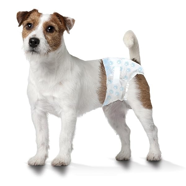 FOUR PAWS WEE-WEE SUPER ABSORBENT DISPOSABLE ADJUSTABLE DOG POTTY TRAINING DIAPERS, LEAK-PROOF PROTECTION FOR PUPPIES AND SMALL DOGS, SMALL, 12 COUNT