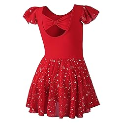 DIPUG Ballet Leotards for Girls Toddler Dance