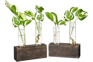 Ivolador 2PCS Desktop Glass Round Planter Terrarium with Retro Solid Wooden Stand for Hydroponics Plants Garden Wedding Decor