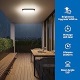 ANWIO 14W Outdoor Oval Bulkhead Light 4000K 1400LM IP54 220-240V view 4