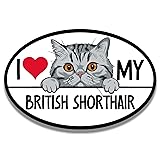Magnet Me Up I Love My British Shorthair Cat Breed