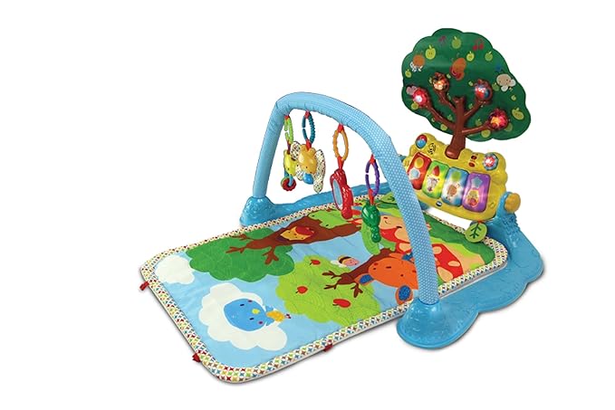 vtech baby play mat