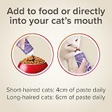 Beaphar Hairball Paste for Cats 2-in-1 Malt & Prebiotics 100g view 4