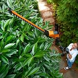 WORX WG252E 20V Cordless Pole Hedge Trimmer 45cm 3.6m Reach Powershare view 6