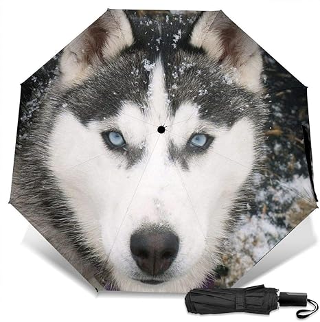 Amazon Co Jp 雪の中でシベリアンハスキー犬折りたたみ傘 軽量 手動三つ折り傘 日傘 耐風撥水 晴雨兼用 遮光遮熱 紫外線対策 携帯用かさ 出張旅行通勤 女性と男性用 黒ゴム ホーム キッチン