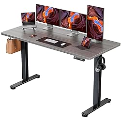 ErGear Electric 71 x 30 inch Standing Desk