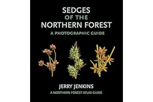 Sedges of the Northern Forest: A Photographic Guide (The Northern Forest Atlas Guides)