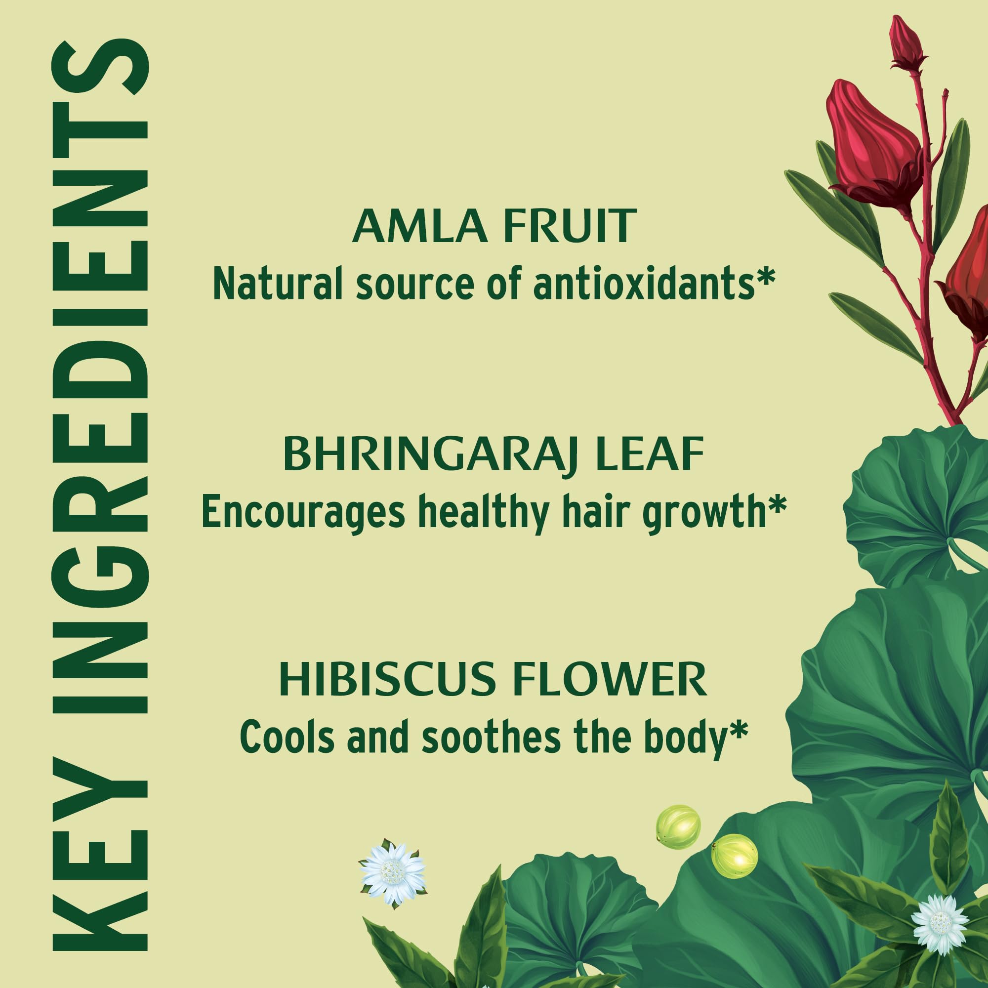 Banyan Botanicals Healthy Hair Tablets – Organic Hair Supplement with Amla & Bhringaraj – Ayurvedic Hair Care for Healthy, Thick & Lustrous Hair* – 90 Tablets – Non GMO Sustainably Sourced Vegan