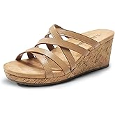 DREAM PAIRS Dressy Wedge Sandals for Women Casual Summer, Comfort Cork Strappy Platform Slides Sandals
