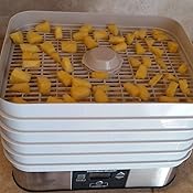 Amazon.com: Hamilton Beach 32100A Digital Food Dehydrator, 5 Tray, Gray