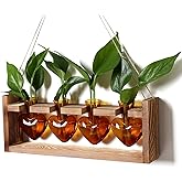 CYZglass Plant Propagation Stations Heart Plant Terrarium Kit Gift for Women Plant Lover Glass Vases