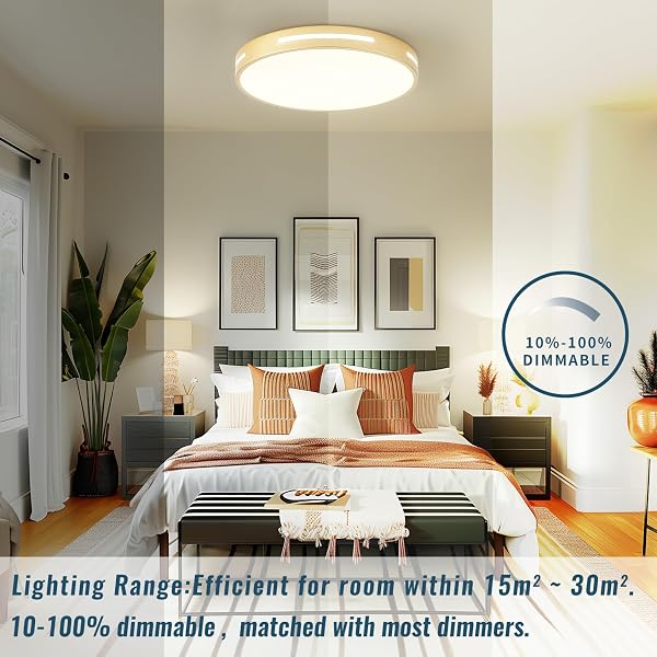 WHEATRONIC GOLD LED CEILING LIGHT FIXTURE FLUSH MOUNT 15 INCH 36W SET OF 2, DIMMABLE KITCHEN LIGHTING FIXTURES LED, MODERN LIGHT FIXTURES CEILING MOUNT FOR BEDROOM, BATHROOM, LIVING ROOM