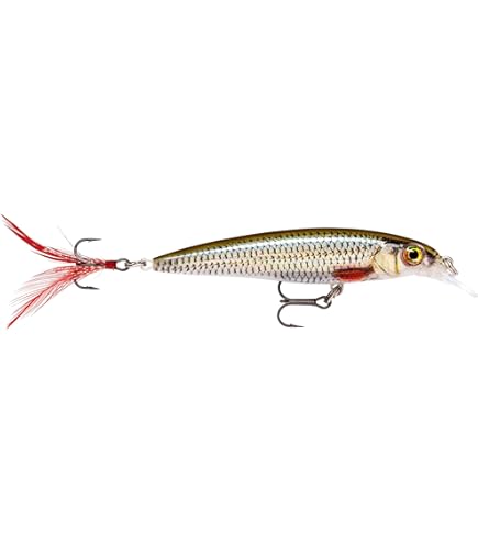 rila 0813 Rapala XR10SKL X-Rap Fishing Lure, Live Sucker, 4