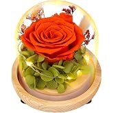 TGELATA Preserved Flowers Rose Gift for Women, Real Preserved Rose Forever Flowers in Glass Dome with LED Lights, Rose Birthday Gifts for Mom Wife Girlfriend, Christmas Mother&rsquo;s Day Valentine&rsquo;s Day