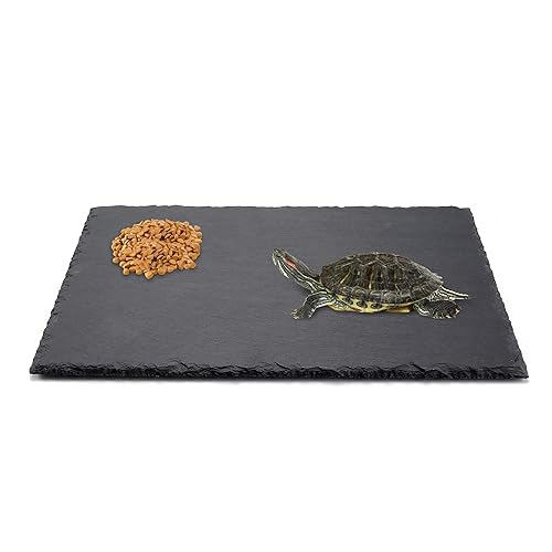 Filhome Reptile Basking Platform, Tortoise Habitat Rock Plate