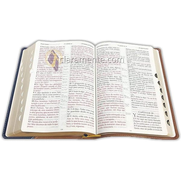 ドラマCD SINFONIA MEXICANA VOL. 4 MEXICO A TRAVES DE SU MUSICA ドラマCD SINFONIA MEXICANA VOL. 4 MEXICO A TRAVES DE SU