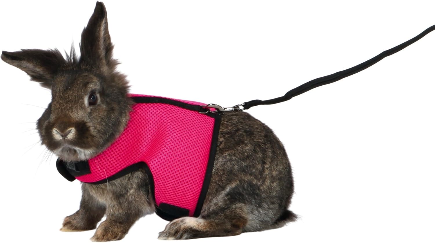 Trixie Pet Products 61514 1.20 m Soft Harness with Leash for Large