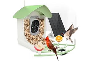 FAZOXO Bird Feeder with Camera, Smart AI Bird Breed Recognition, Birds Motion Detection with Real-Time Notice, Auto Capture Bird Watching WiFi Camera, Solar-Powered Outdoor Charging Bird House,Green