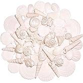 WeDoSoy Silver White Sea Shell Mixed Ocean Shells Set, 1.2"-2.6" Various Sizes Natural Seashell & Starfish for Beach Themed Decor, DIY Crafts, Vase Fillers, Fish Tank, Home, Wedding & Party Decoration