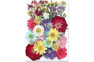 TOPFUNNY 40 Pcs Dried Pressed Flowers for Resin DIY Art Crafts Natural Herbs Leaves Dry Plant Leaf Floral Epoxy Jewelry Real Colorful Flower Decor Cakes Phone Cases Candles Handmade Soap Summer