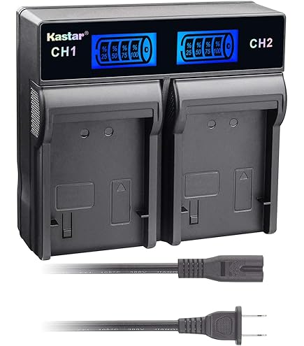 Amazon.com : Canon BP-A30 Battery for C300 MK II : Electronics