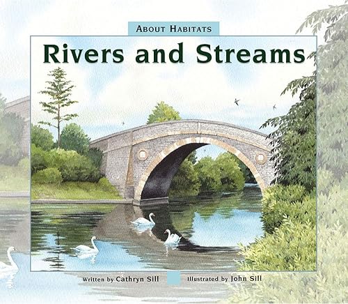 Download Rivers and Streams PDF