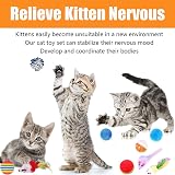 Speedy Panther 14 Pack Interactive Cat Toys Indoor Kitten Toy Set view 6