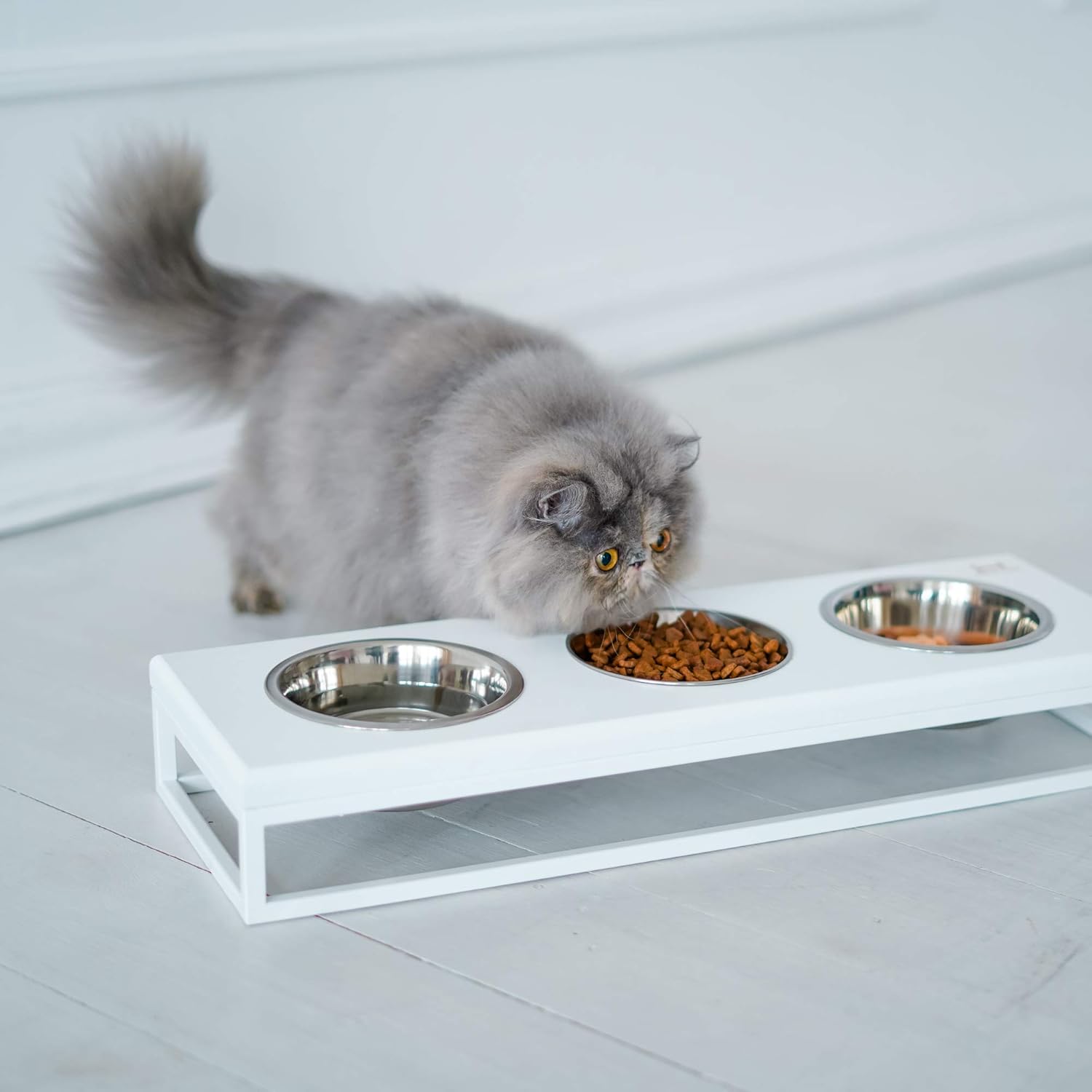 triple raised cat bowls