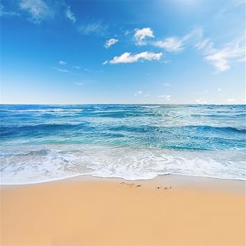 Yongfoto 3x3m Vinyle Toile De Fond Plage Tableau Paysage Mer Ciel Bleu Nuages Blancs Fond Pour Photo Portrait Studio Photo Banner Video Hawaii Partie