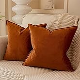 JUSPURBET 20x20 Pillow Covers Set of 2 Decorative Throw Pillow Covers Case for Couch Sofa Bed Soft Velvet Cushion Covers with Hidden Zipper for Home Decor Living Room,Burnt Orange
