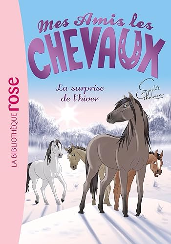 Download Mes amis les chevaux, tome 7 : La surprise de l'hiver PDF
