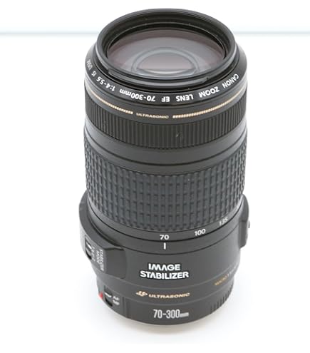 Amazon.com : Tamron AF 70-300mm f/4.0-5.6 SP Di VC USD XLD for
