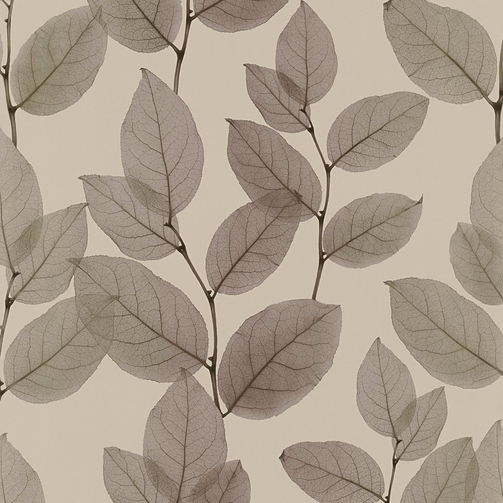 A.S. Creation 342475 Non-Woven X-Ray Collection Wallpaper, Multi-Colour