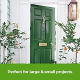 THE ONE All-In-One Paint & Primer Green Matt 1 L Multi-Surface One Coat view 5