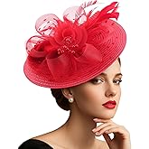 DRESHOW Fascinators Hat Flower Mesh Feathers Hat with a Headband and a Clip 7.9" Tea Party Headwear for Women