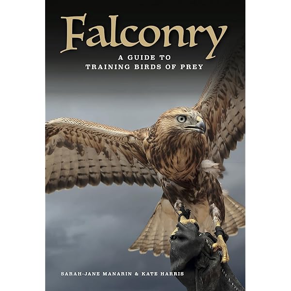 Training Birds of Prey: Parry-Jones, Jemima: 9780715312384: Amazon