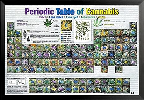 Amazon Com Buyartforless Framed Periodic Table Of Cannabis
