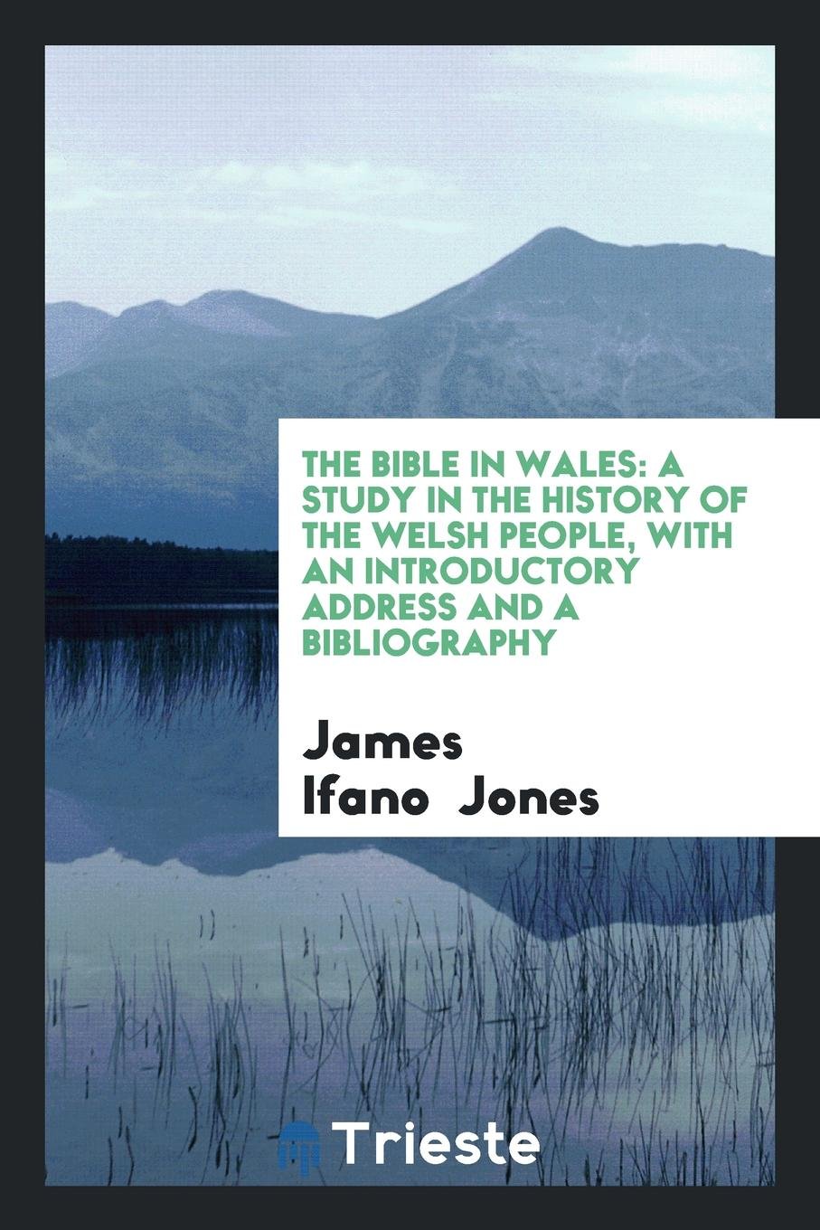 The Bible In Wales A Study In The History Of The Welsh People With An Introductory Address And Jones James Ifano 9780649073542 Amazon Com Books