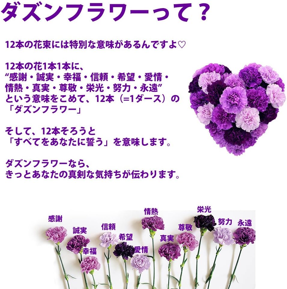Amazon 母の日 パラボッセ 母の日 ムーンダスト 花束 Sサイズ 12本 横幅25cm X 奥行25cm X 高さ28cm 花束 オンライン通販