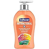 Softsoap Antibacterial Liquid Hand Soap Pump, Crisp Clean - 11.25 fluid ounce