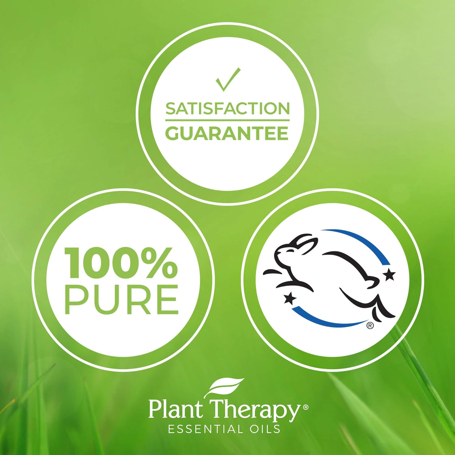 Plant Therapy Respir Aid Essential Oil - Sinus, Airway and Congestion Clearing Synergy Blend 100% Pure, Pre-Diluted Roll-On, Natural Aromatherapy, Therapeutic Grade 10 mL (1/3 oz): Beauty
