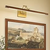 VitaLink Picture Lights for Wall, Hardwired 27.5" Long Gold Wall Picture Artwork Paintings Display Lighting Swing Arms Wooden