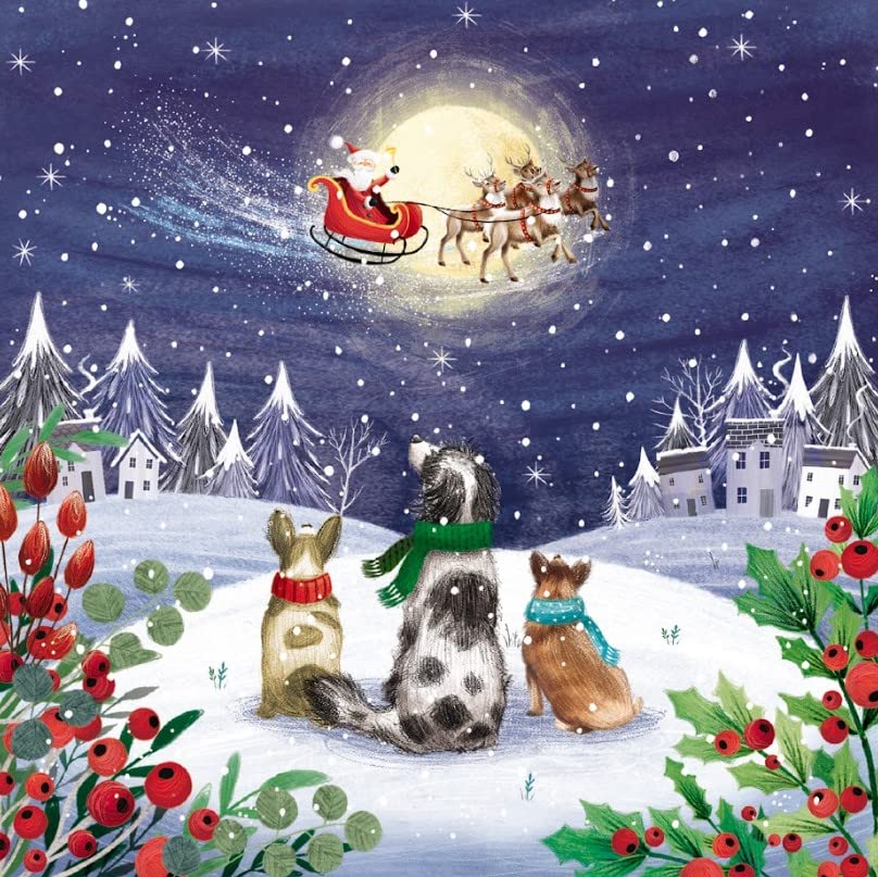 Charity Christmas Cards - Dogs Watching Santa's Sleigh - Eco-Friendly and Recyclable - Pack of 10 Cards - By The Great British Card Company