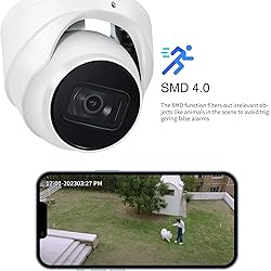 Dahua PoE Security Dome Surveillance IP Camera