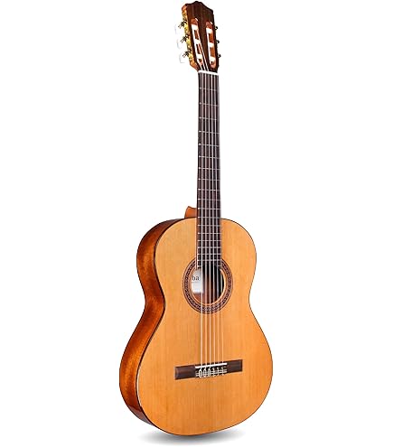 Amazon.com: Cordoba 3/4 Size Deluxe Gig Bag : Musical