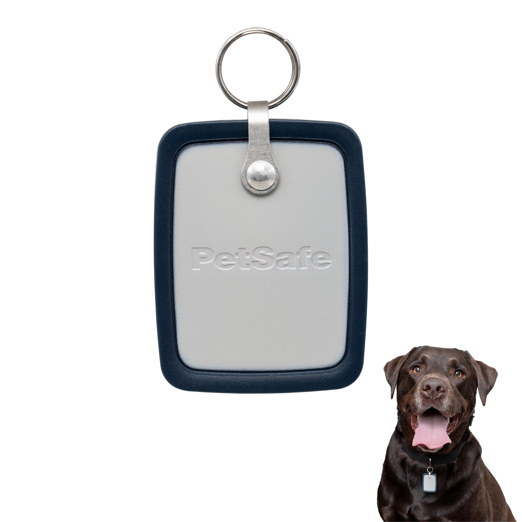PetSafe Smart Door Key - RFID Key for Pet Door - Custom Access, Secure Entry, App-Enabled Compatibility - Large